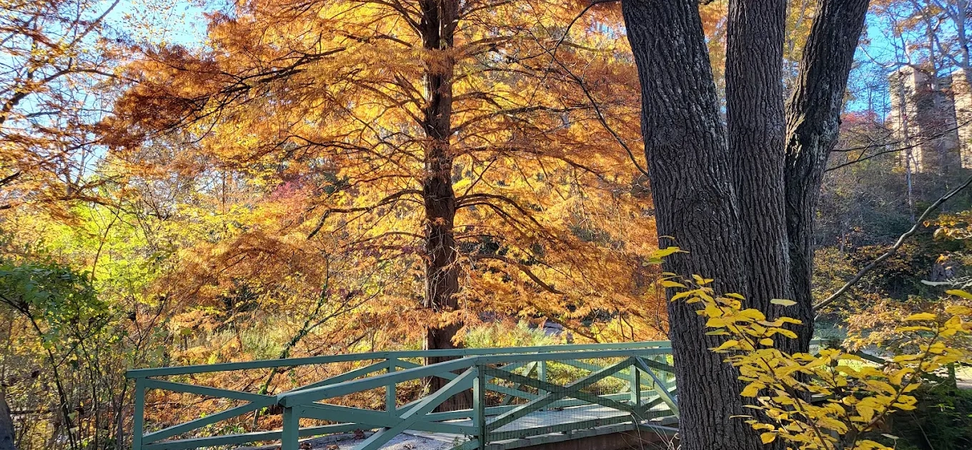 Asheville Botanical Garden in Autumn
