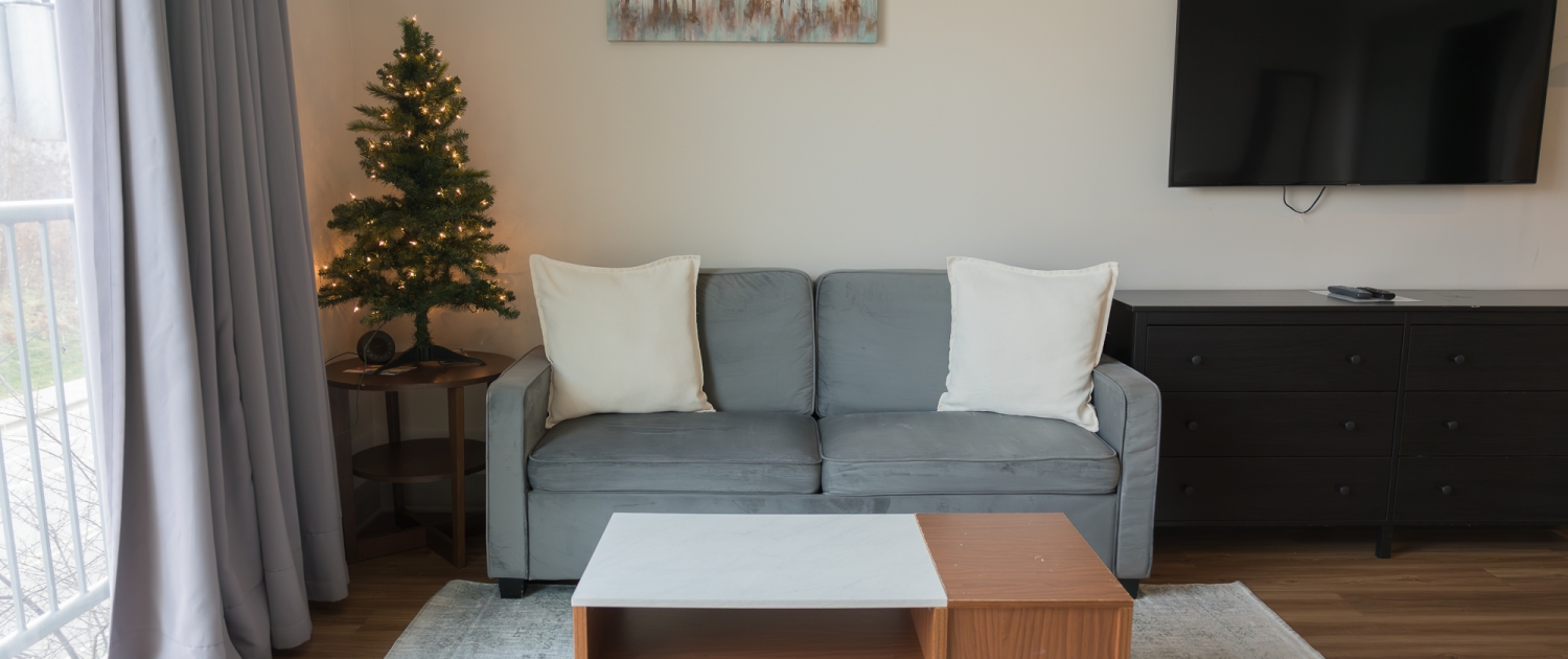 A small christmas tree decorates one of River Row Suites spacious accommodations in Asheville.