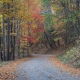 A winding gravel road surrounded by colorful fall foliage in Western North Carolina
