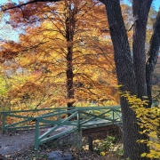 Asheville Botanical Garden Asheville Botanical Garden in Autumn