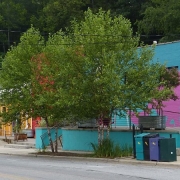 Pink-Dog-Creative-900×450