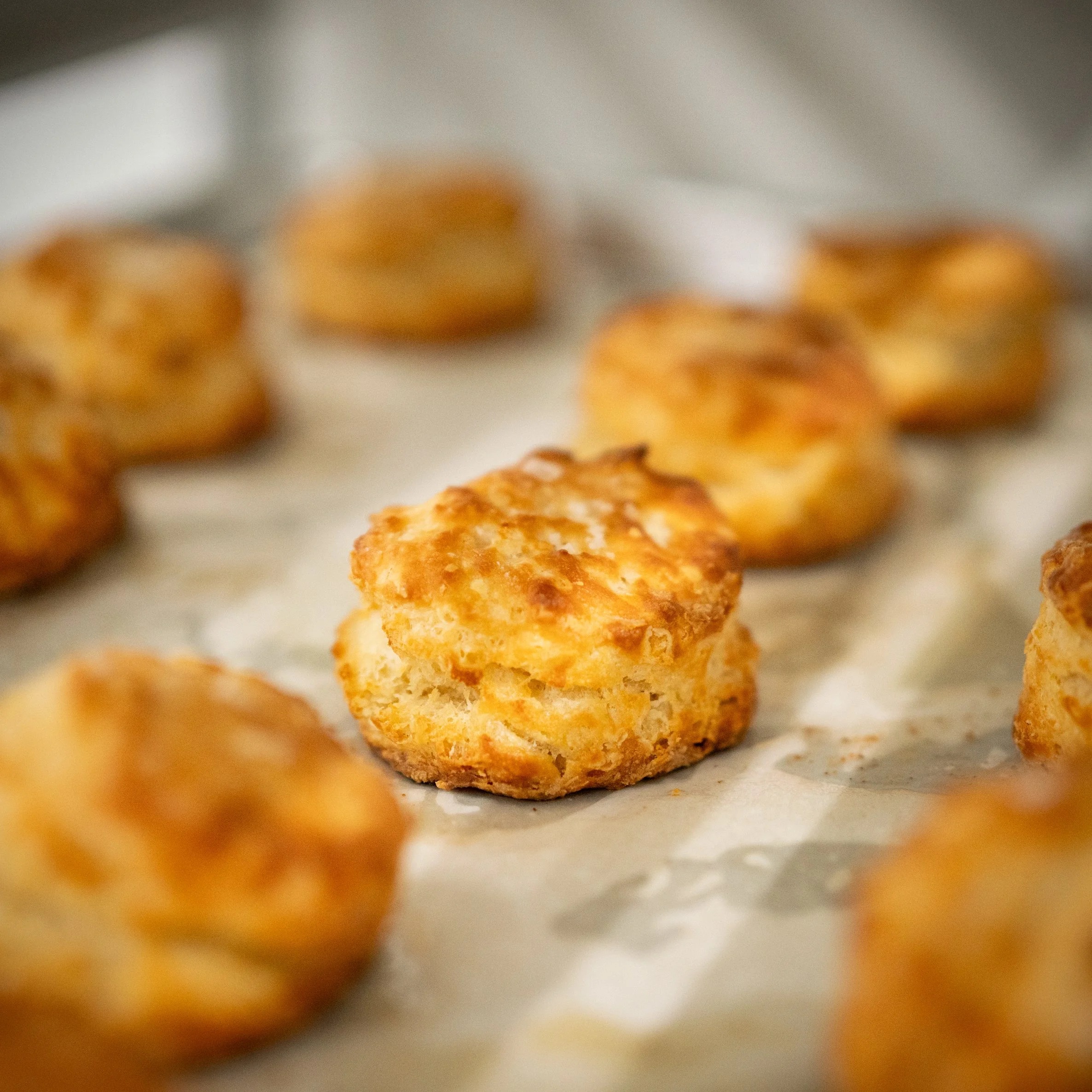 A batch of golden-brown biscuits on a baking sheet lined with parchment paper.