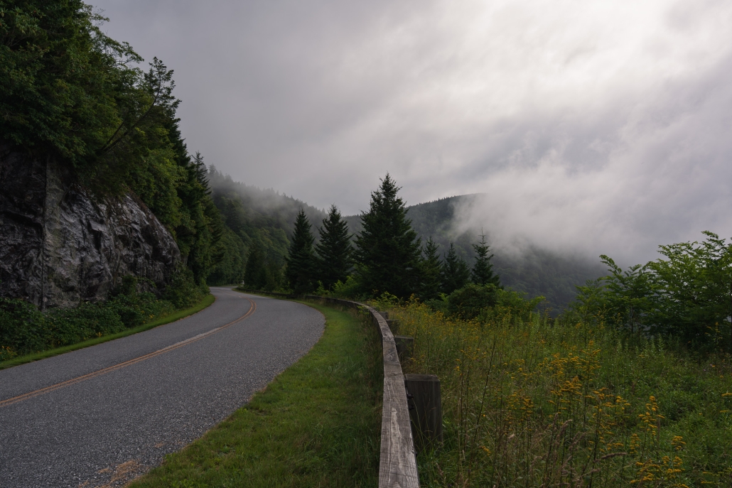 a mountain road curves through evergreen trees