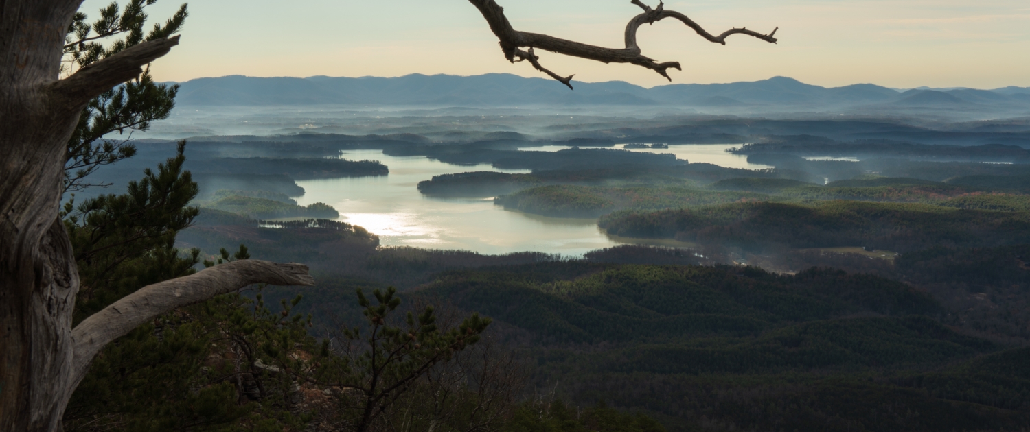 A dead tree frames the view of Lake James along the Shortoff Mountain Trail in WNC