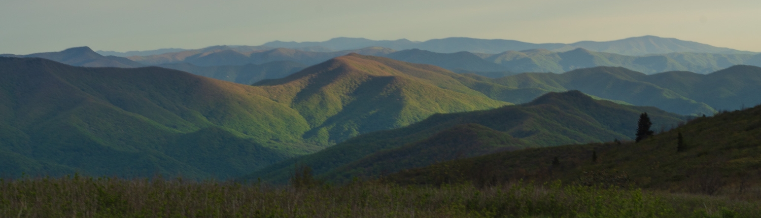 views from Black Balsam Knob hike