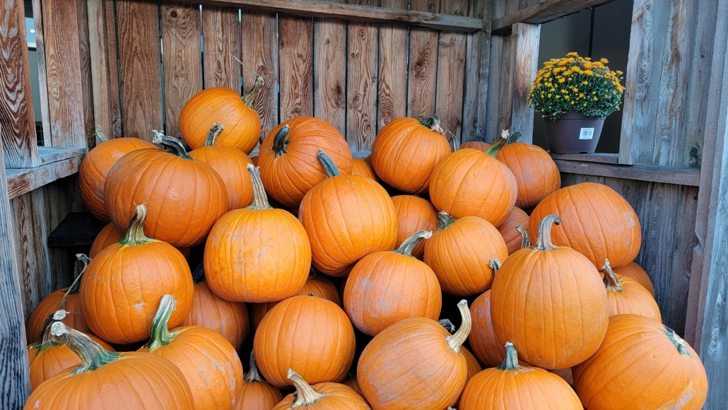 Color Guide Turing Asheville Fall Festivals & Oktoberfest 2026: A Local's Guide to ...