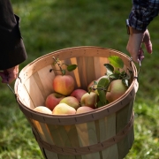 ryan-arnst-jN7egxv2K3M-unsplash two people walking with a barrel of apples between them
