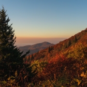 A lone evergreen sits among crimson, gold and orange trees in Western North Carolina