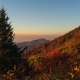 A lone evergreen sits among crimson, gold and orange trees in Western North Carolina