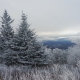 Snow covered spruces and frosted mountains on a cloudy winter day in Western North Carolina