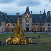The Biltmore Estate at Christmastime at dusk. A decorated tree sits in the middle of the grand lawn as visitors mill around the property.